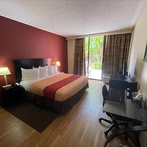 Superior Pool Side King Room